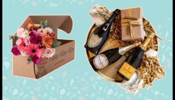 المشاريع الافتراضية: التجارب عبر الإنترنت كهدايا مدروسة