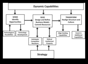 الابتكار للارتقاء: استراتيجيات التحليل الديناميكي للأعمال