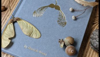 كنوز صغيرة: الاحتفال بالحب والسعادة مع الهدايا