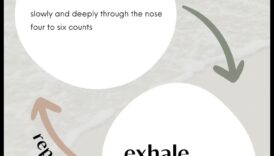 استنشق الهدوء، وتوتر الزفير: حكمة التنفس الأساسية
