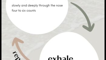استنشق الهدوء، وتوتر الزفير: حكمة التنفس الأساسية