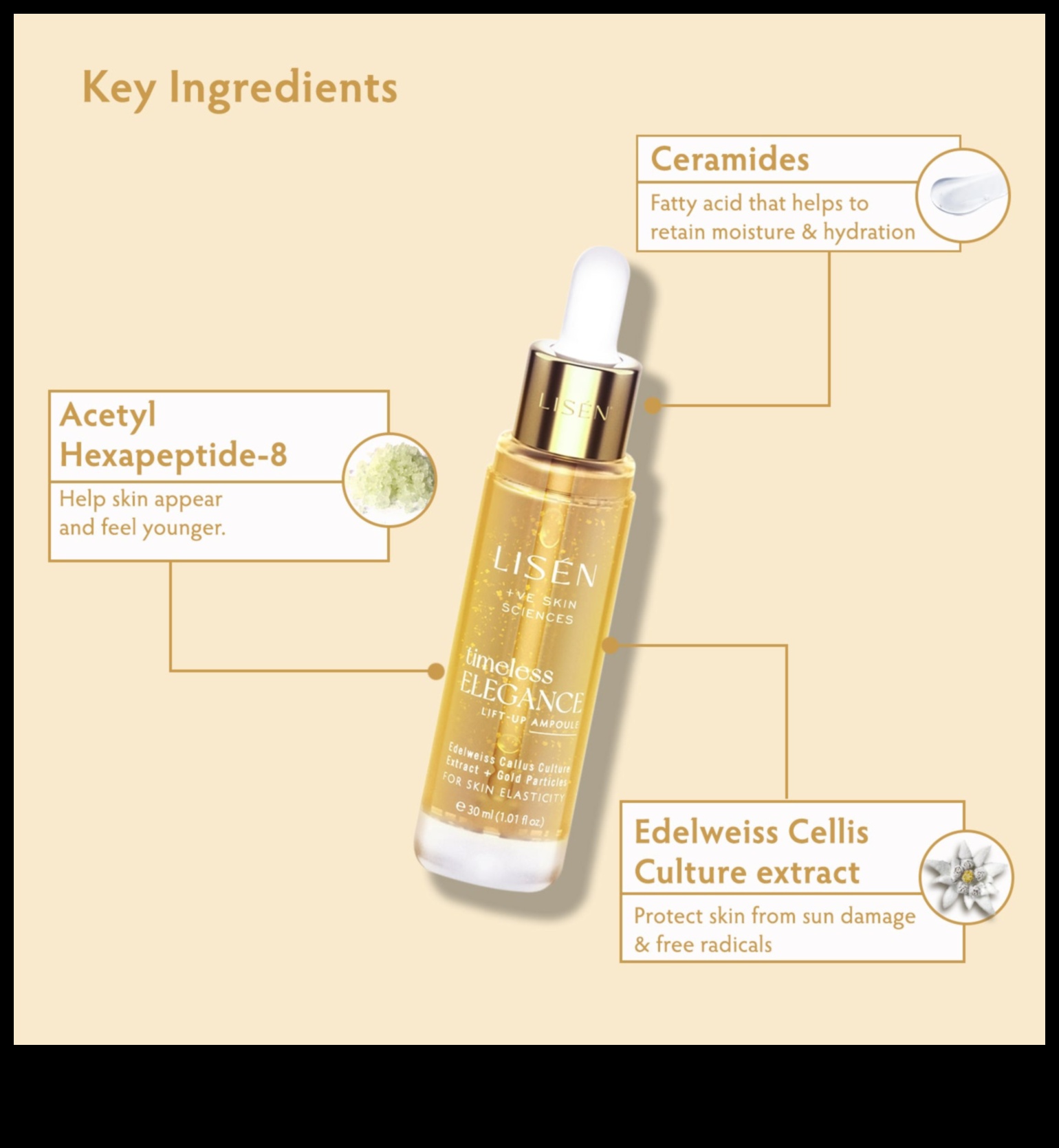 تحقيق الأناقة الخالدة: مفاهيم الديكور الأساسية التي يجب احتضانها