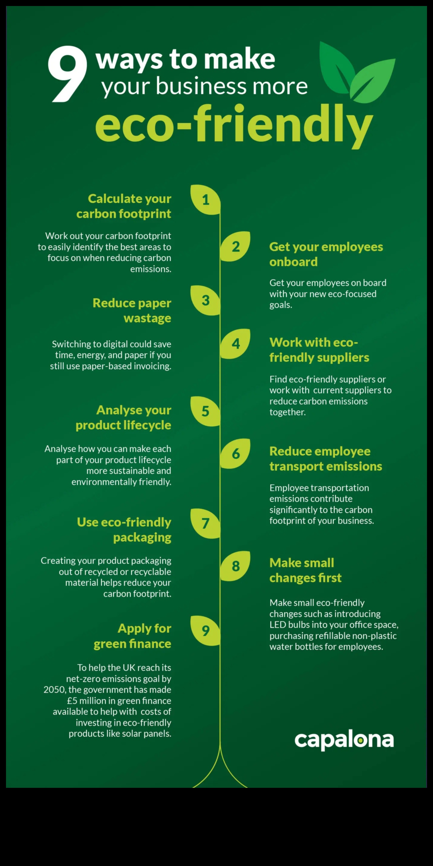 الشركات الصغيرة المستدامة: الموازنة بين الربح والغرض
